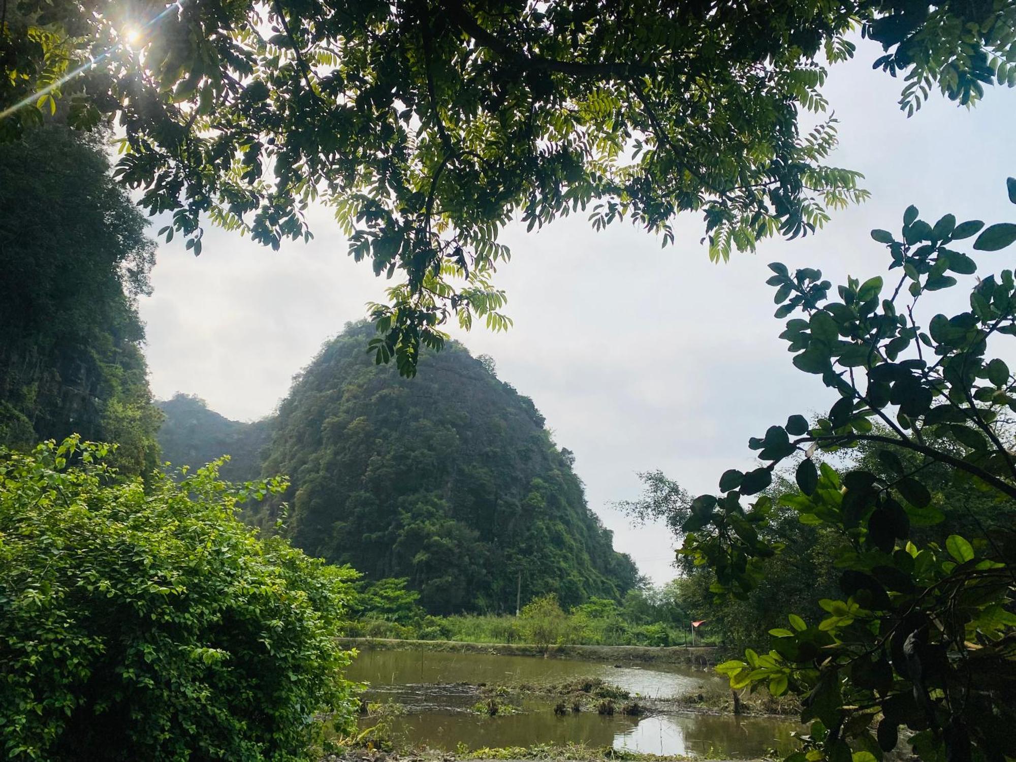 Tamcoc Viet Tan Homestay & Garden Ninh Bình Exteriör bild