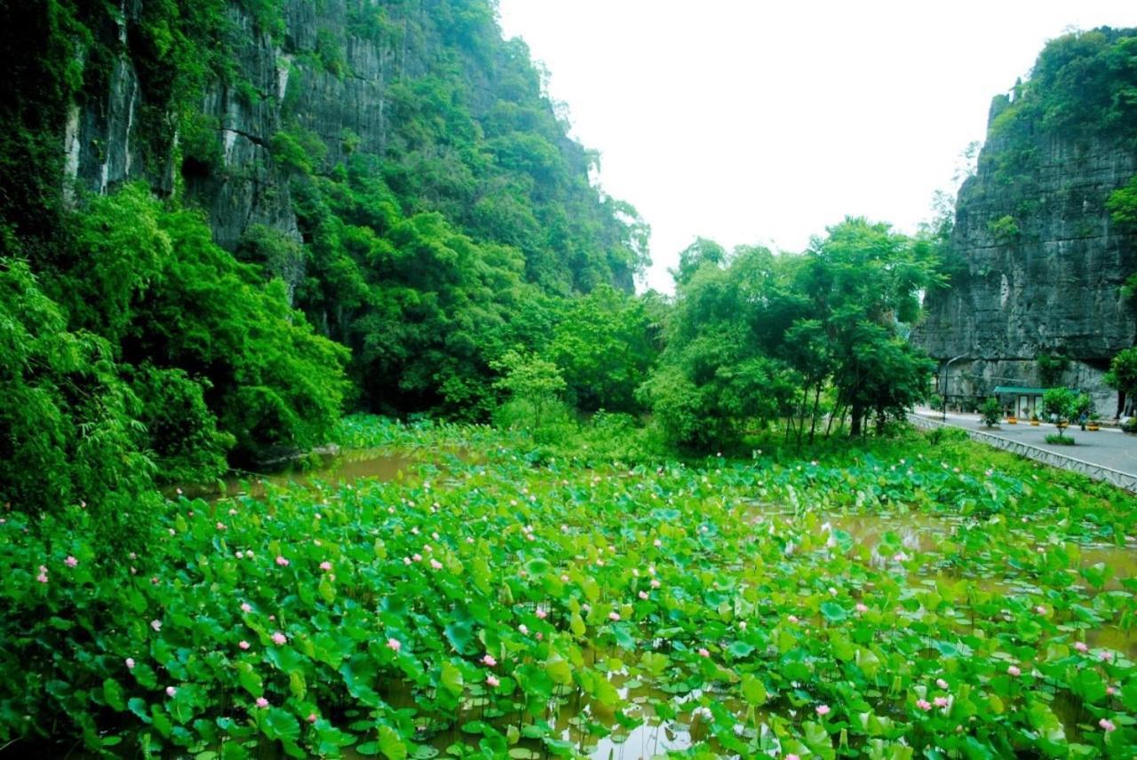 Tamcoc Viet Tan Homestay & Garden Ninh Bình Exteriör bild