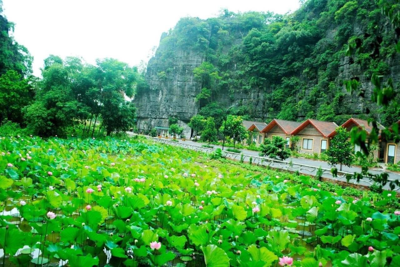 Tamcoc Viet Tan Homestay & Garden Ninh Bình Exteriör bild