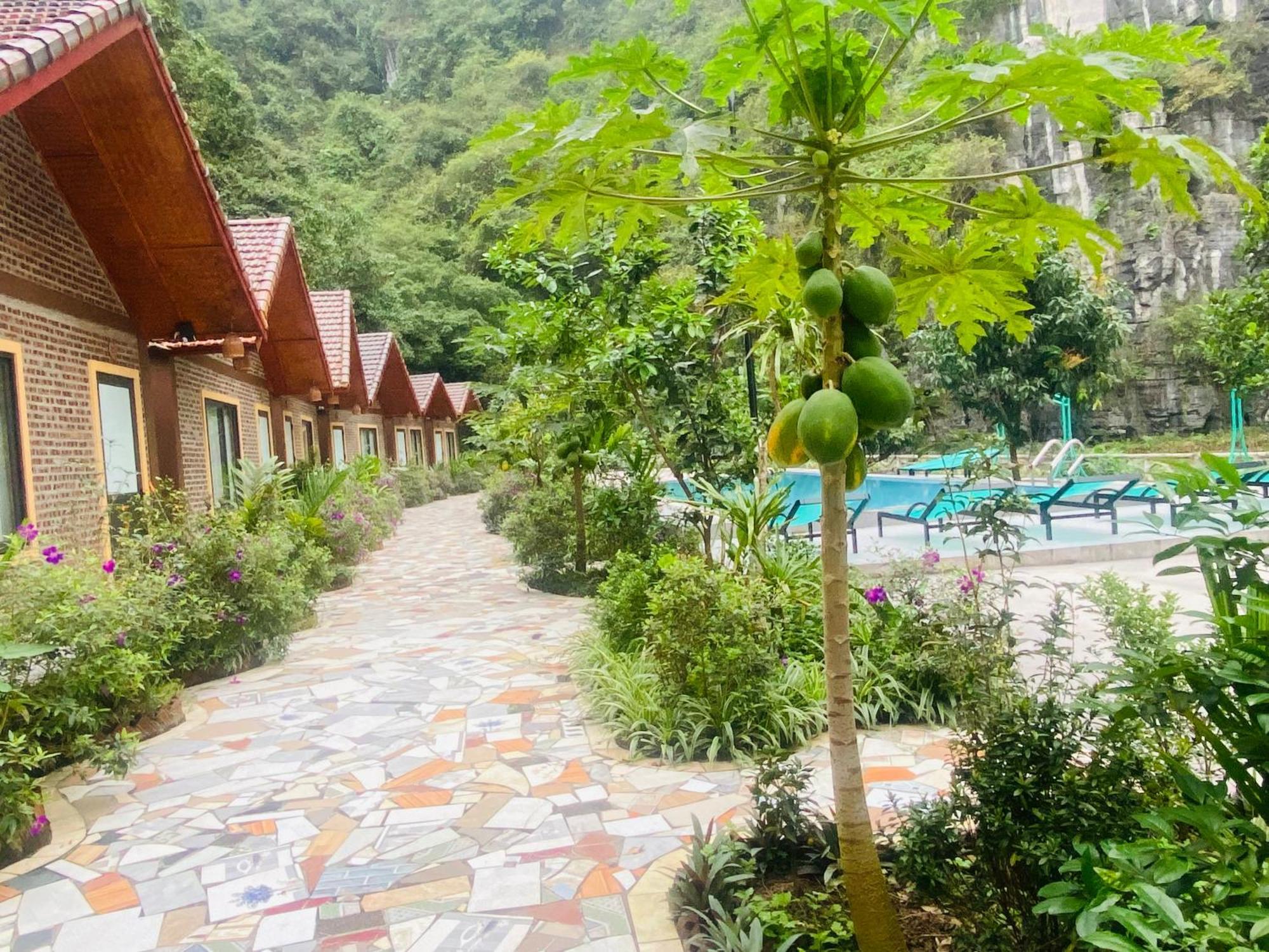 Tamcoc Viet Tan Homestay & Garden Ninh Bình Exteriör bild