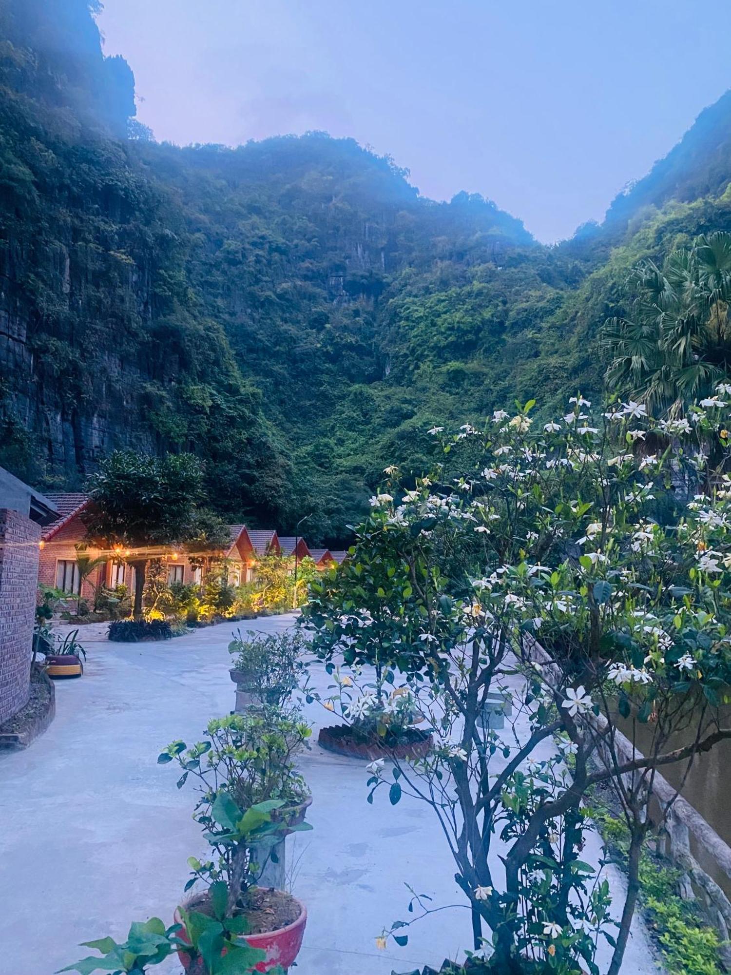 Tamcoc Viet Tan Homestay & Garden Ninh Bình Exteriör bild